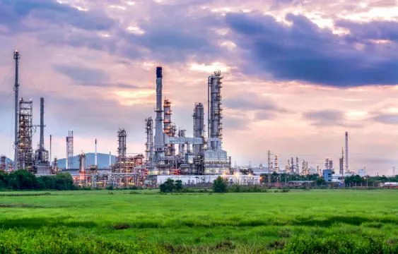 Processing of raw materials in a manufacturing plant. Learn more about your potential pricing and sales activities in the raw materials market here.