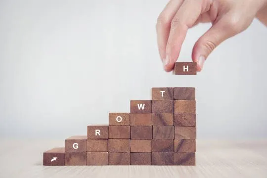 Step by step planning for the implementation of a growth strategy takes place.